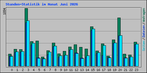 Stunden-Statistik im Monat Juni 2026